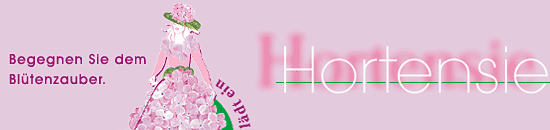 Hortensie - Begegnen Sie dem Blütenzauber